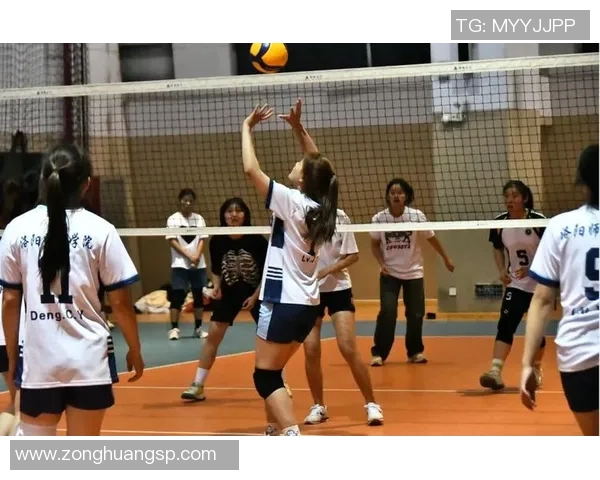 成都排球队的速度之美与技术探秘，展现排球运动的魅力与激情