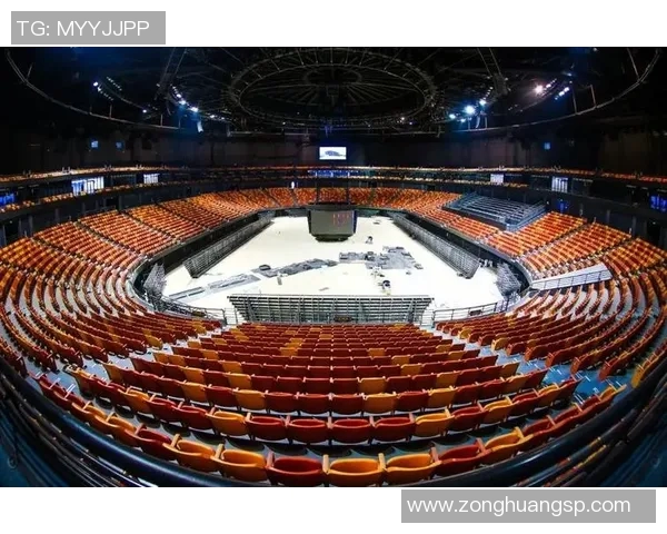 深圳乒乓球队的崛起与成长之路全景揭秘与未来展望