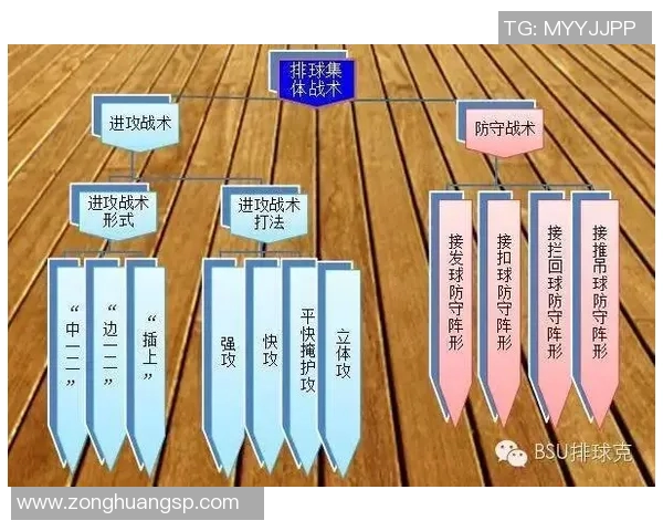 独家深度解析上海排球队不同速度对比及其战术影响分析